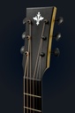 Tyrone Padauk Gold Dreadnought